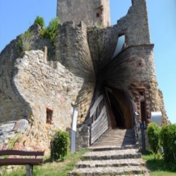 Makuladegeneration, Augenarztpraxis Dres. Schwartzkopff in Lörrach